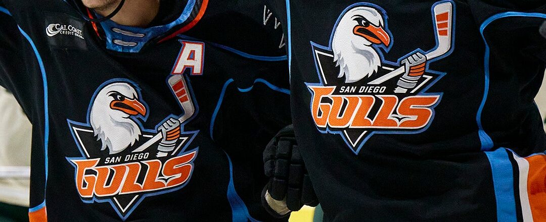 San Diego Gulls Name Dave Barr Assistant Coach