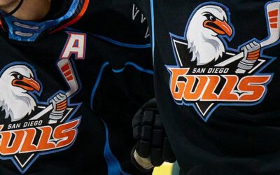 San Diego Gulls Name Dave Barr Assistant Coach
