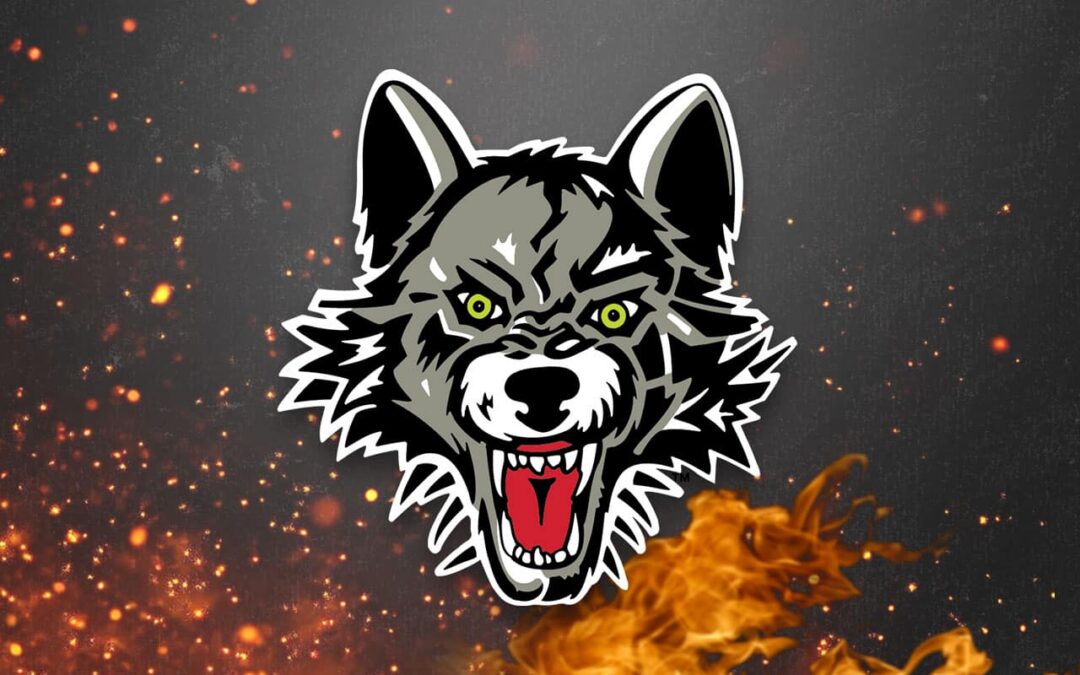 Getting to Know Wolves Video Coach, Gehrig Sarosy