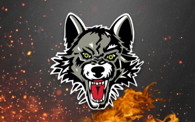 Getting to Know Wolves Video Coach, Gehrig Sarosy